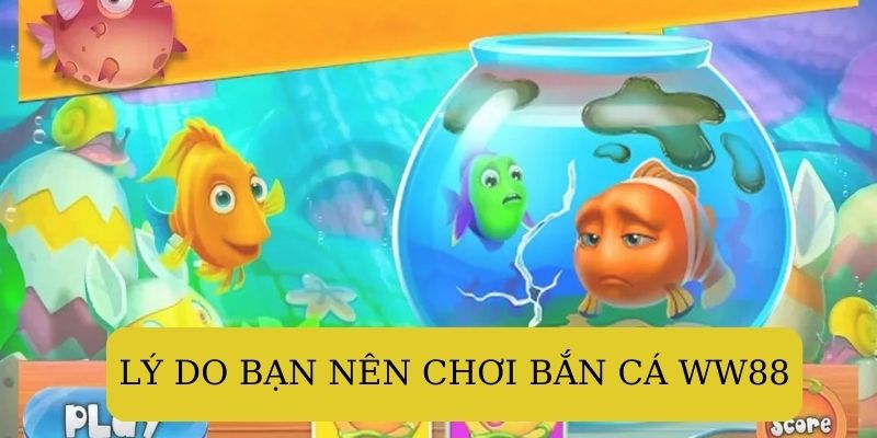 Tại sao chúng tôi khuyên bạn nên chơi bắn cá WW88